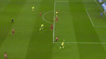 img, tenan img, tenan